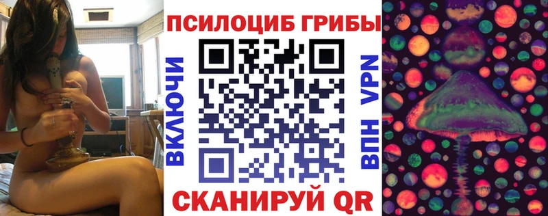 где купить наркоту  Белгород  Псилоцибиновые грибы Cubensis 