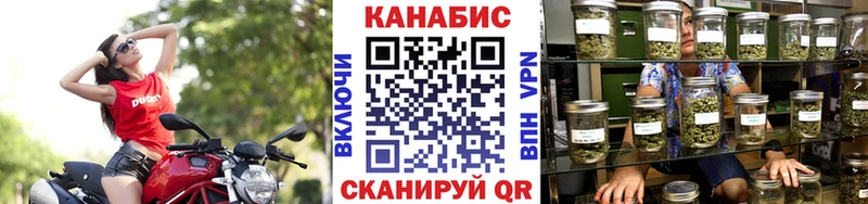 сколько стоит Белгород mega зеркало Бошки марихуана планчик